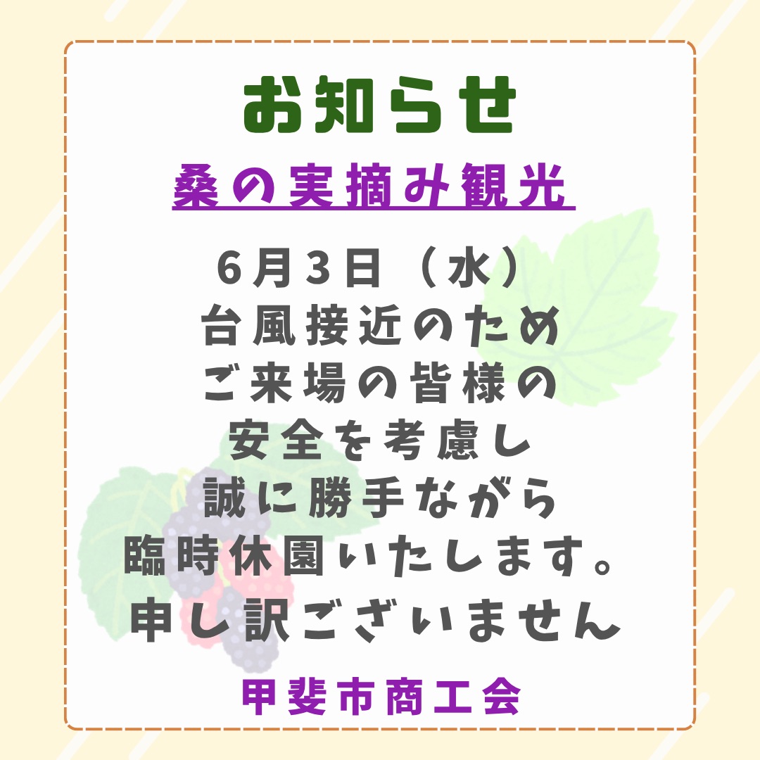 2026.06.02の写真