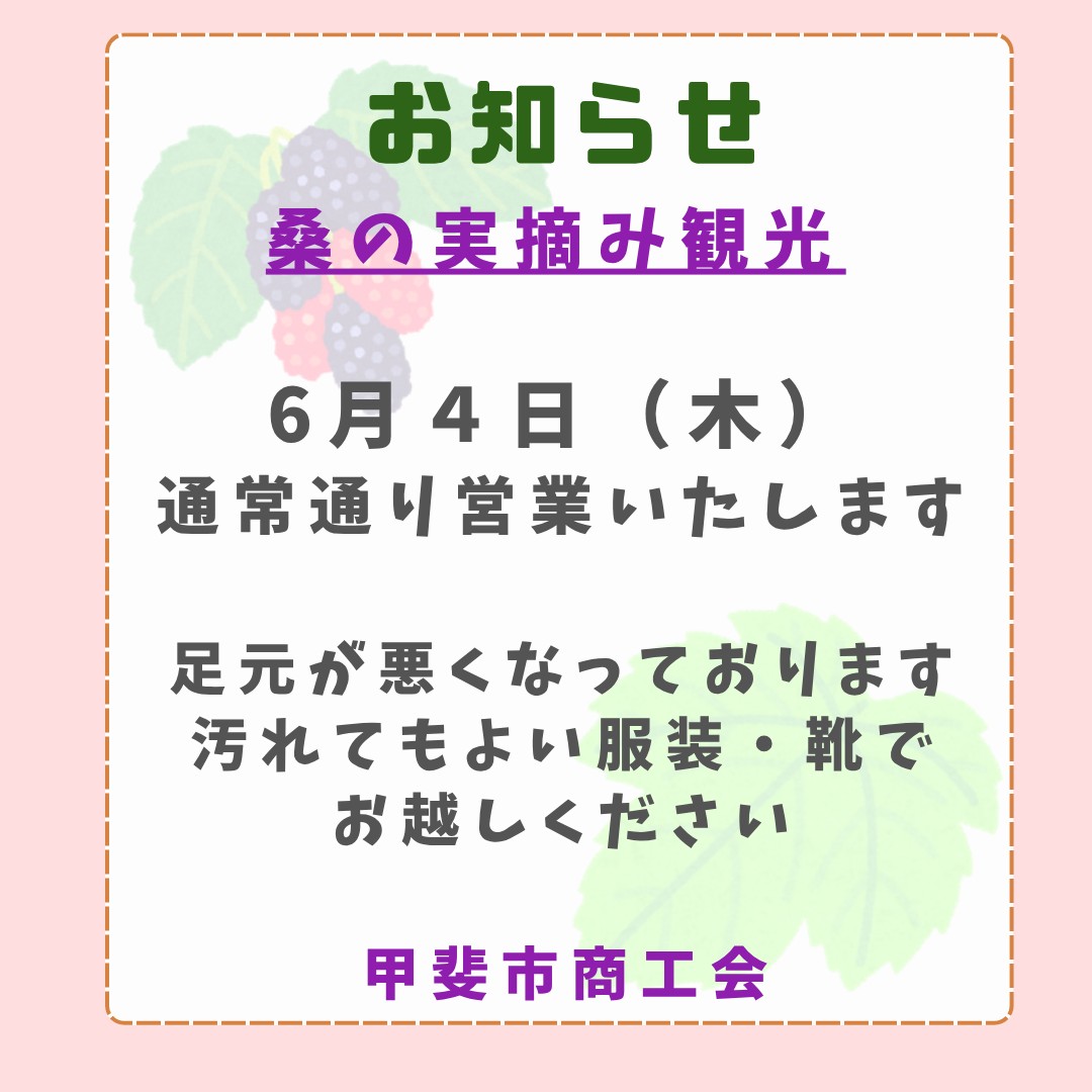 今週の桑の実農園