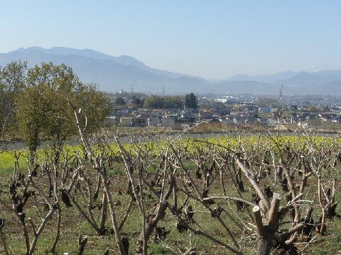 2011/04/20の写真
